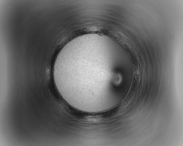 X0000093430556200711091437