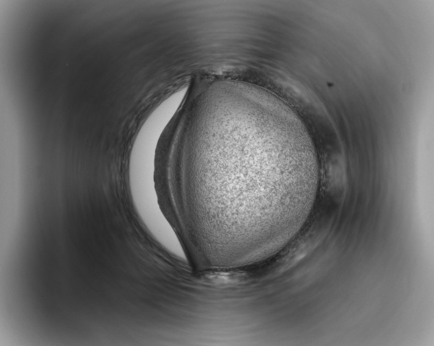 X0000093430558200711091437