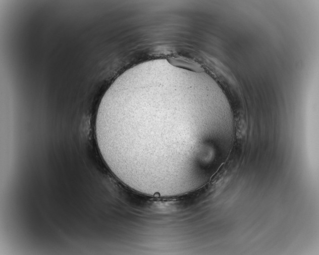 X0000093430560200711091438