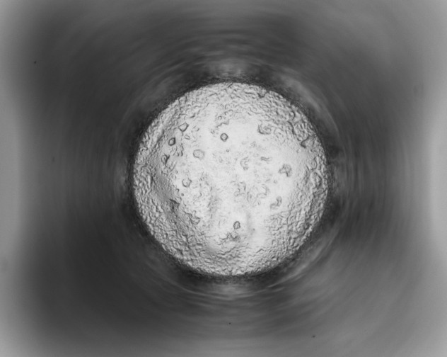 X0000093430561200711091438