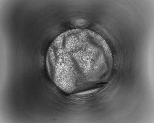 X0000093430563200711091438