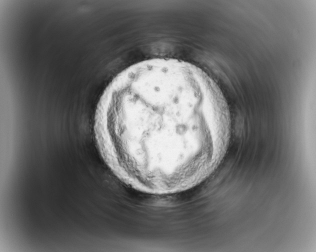 X0000093430569200711091438