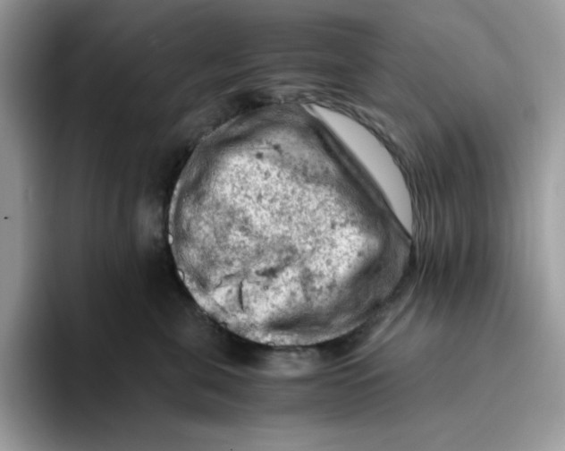 X0000093430571200711091438