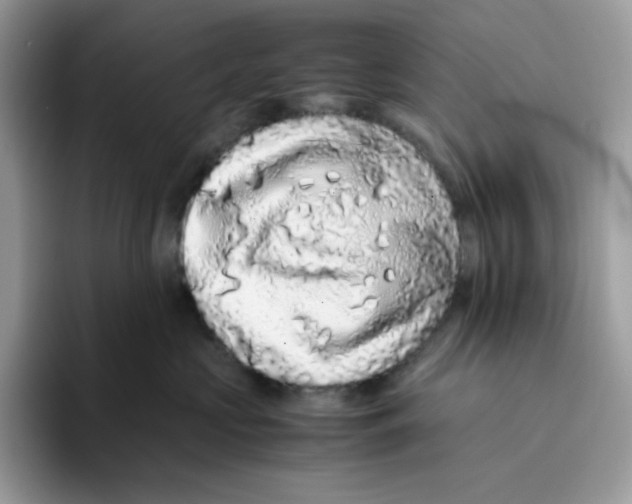X0000093430573200711091438