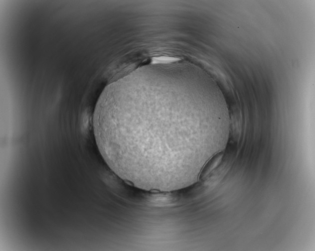 X0000093430574200711091438