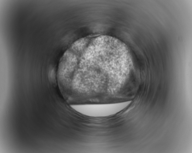 X0000093430575200711091438