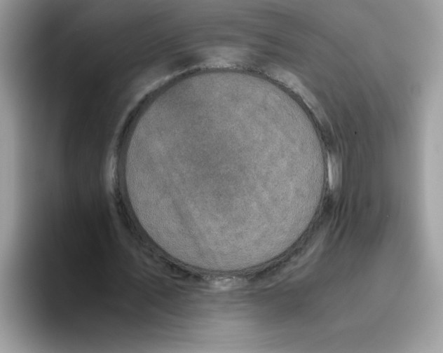 X0000093430579200711091437