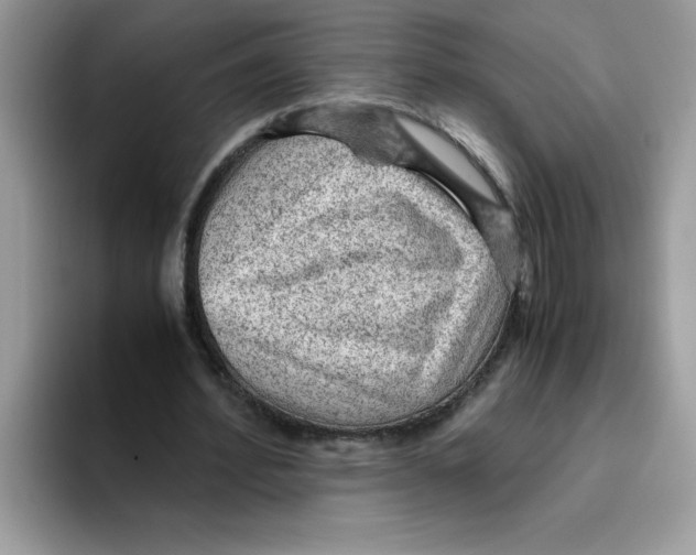 X0000093430580200711091437