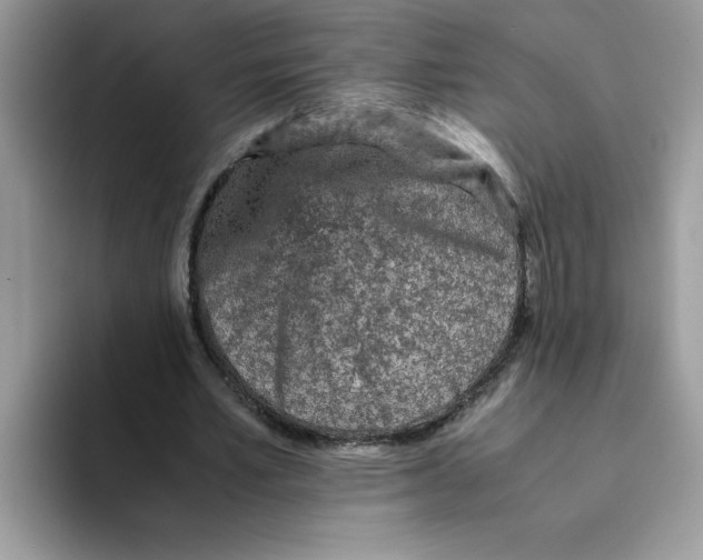 X0000093430581200711091437