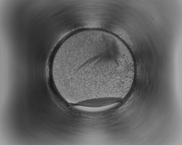 X0000093430584200711091437