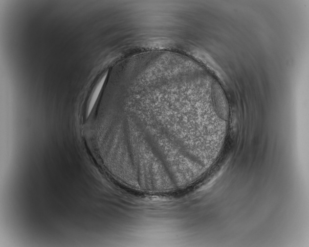 X0000093430585200711091437