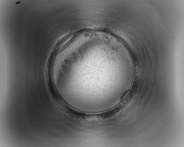 X0000093430587200711091437