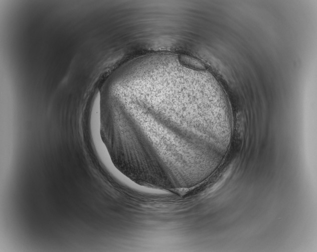 X0000093430589200711091437