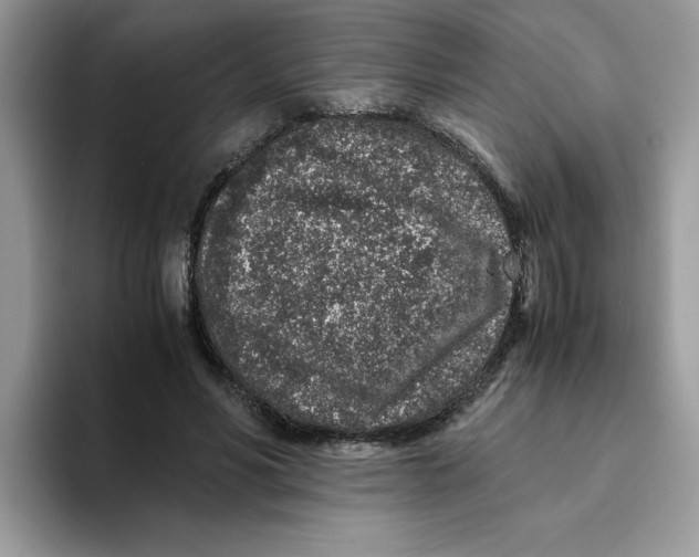 X0000093430590200711091437