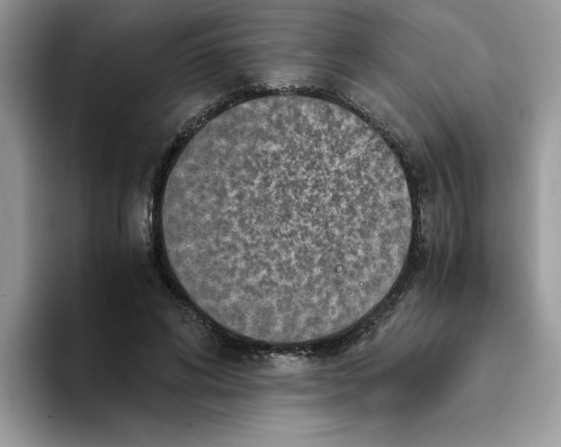 X0000093430592200711091437