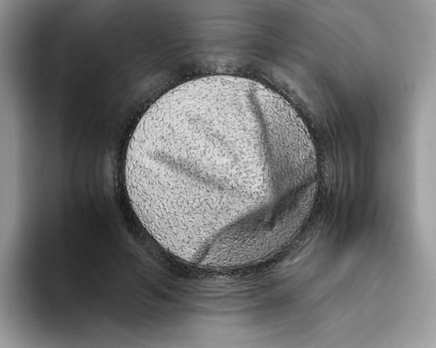 X0000093430594200711091437