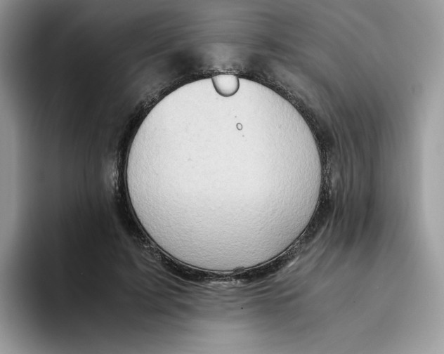 X0000093430595200711091437