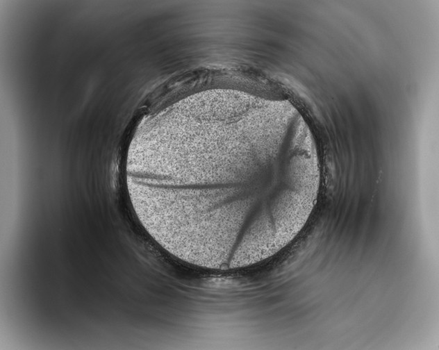 X0000093430596200711091437