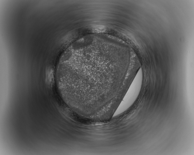 X0000093430598200711091437