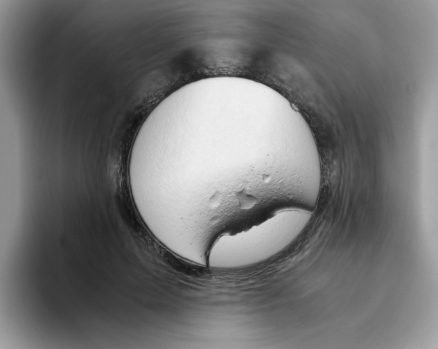 X0000093430599200711091437