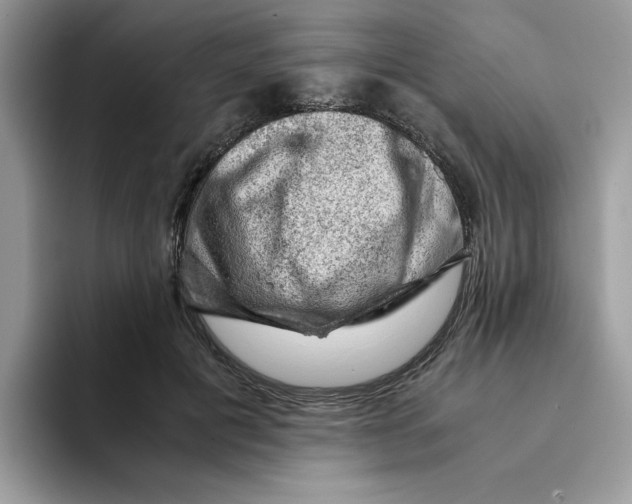 X0000093430601200711091437