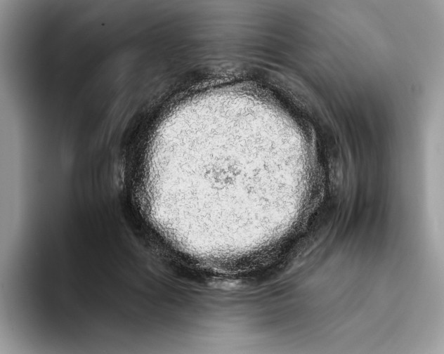 X0000093430602200711091437