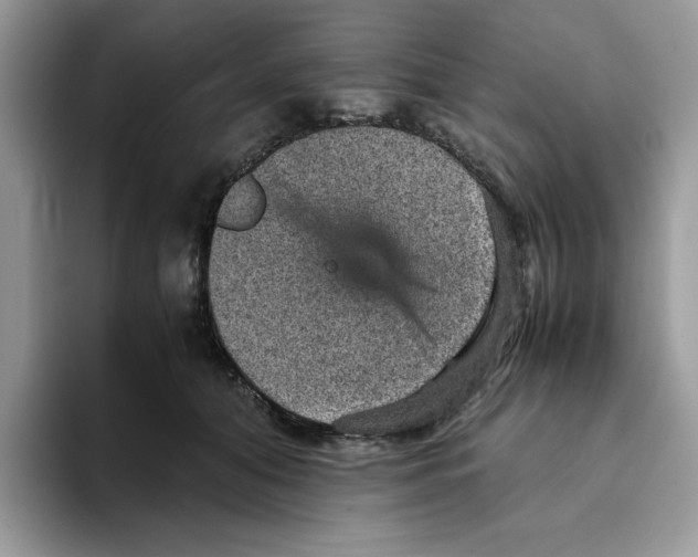 X0000093430608200711091437