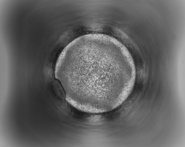 X0000093430609200711091437