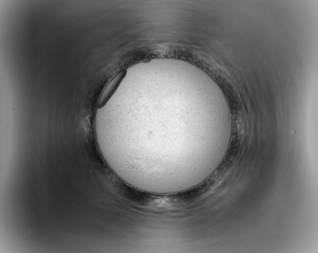 X0000093430611200711091437