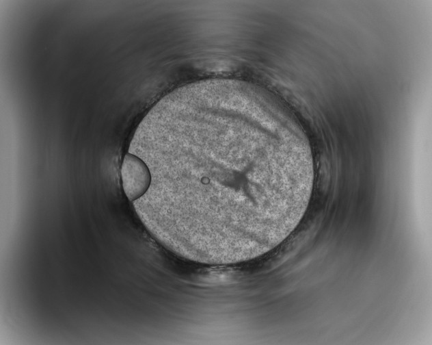 X0000093430612200711091437