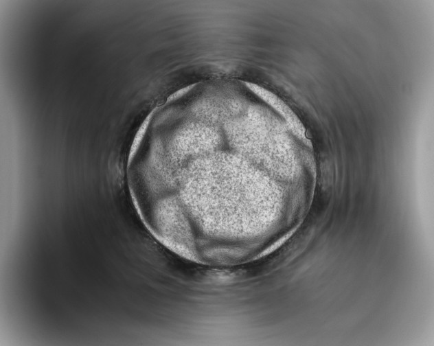 X0000093430613200711091437