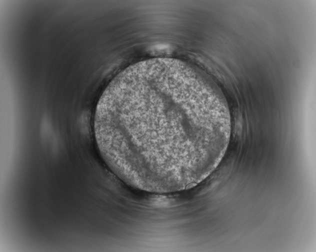 X0000093430616200711091437