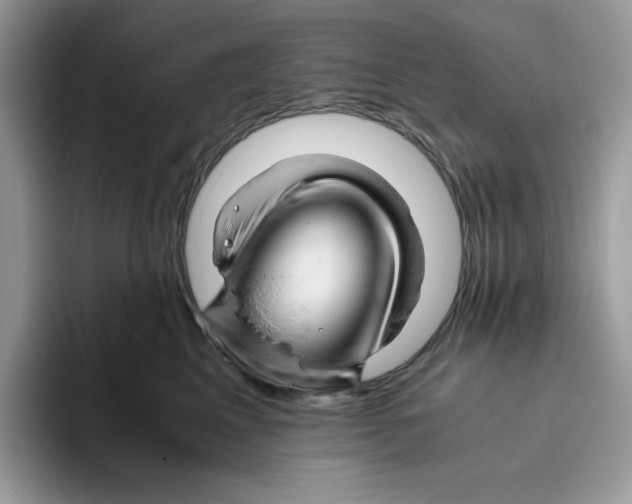 X0000093430617200711091437