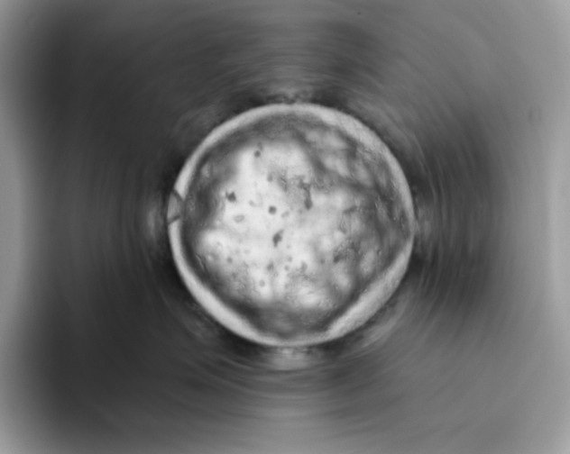 X0000093430623200711091437