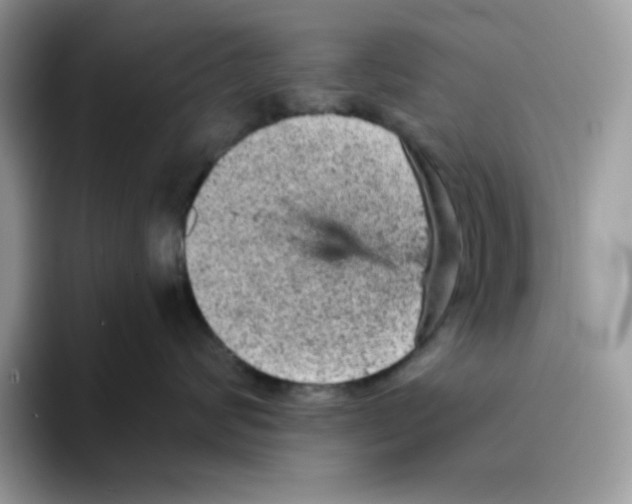 X0000093430624200711091437