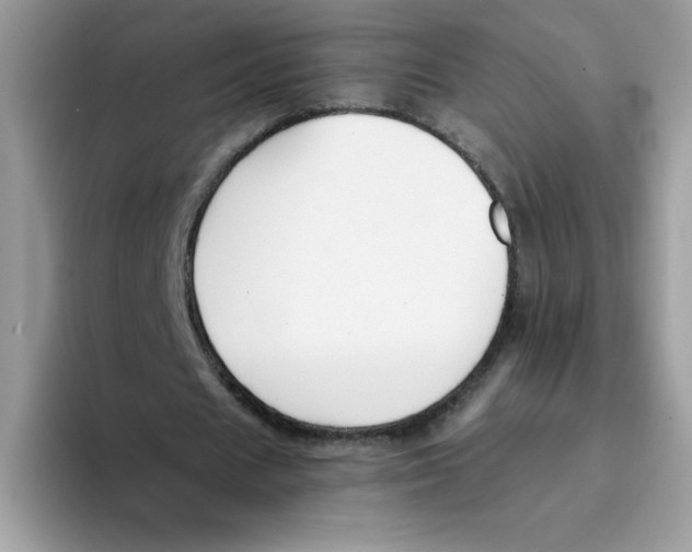 X0000093430625200711091436