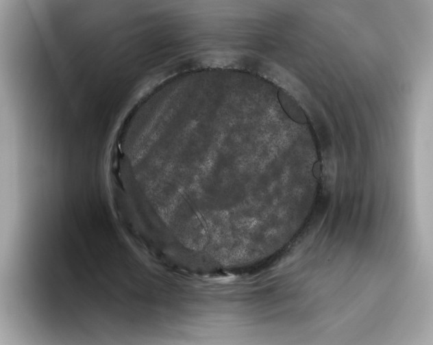 X0000093430626200711091436
