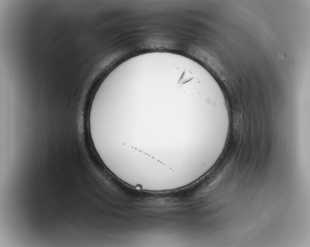 X0000093430629200711091436