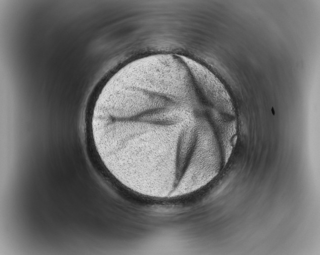 X0000093430630200711091436
