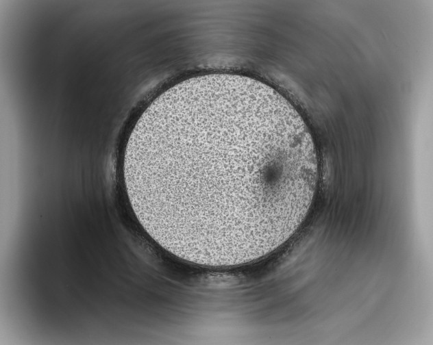 X0000093430636200711091436