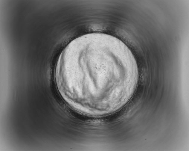 X0000093430639200711091436