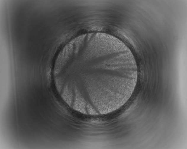 X0000093430641200711091436