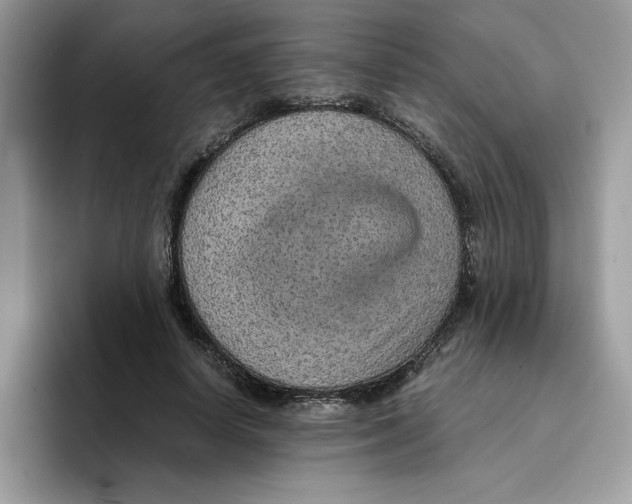 X0000093430642200711091436
