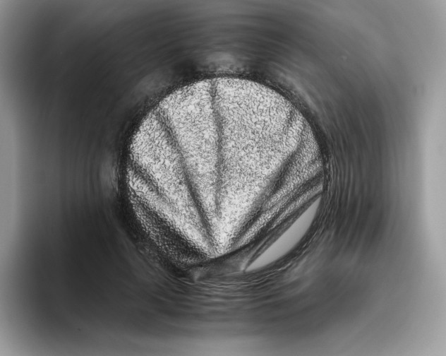 X0000093430643200711091436