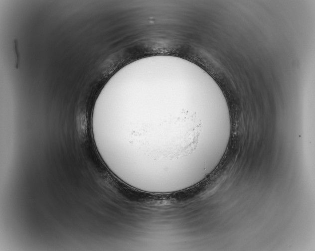 X0000093430646200711091436