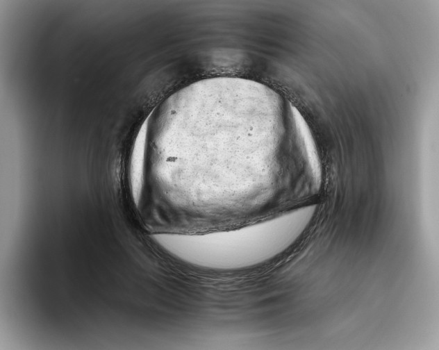 X0000093430647200711091436