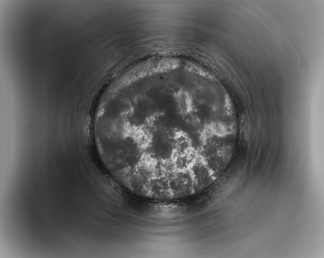 X0000093430650200711091436