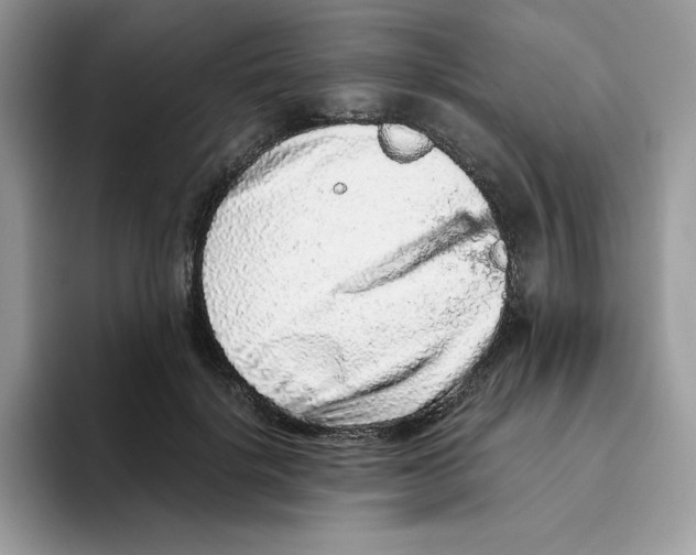 X0000093430652200711091436
