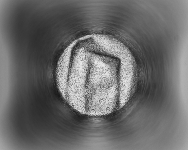 X0000093430654200711091436