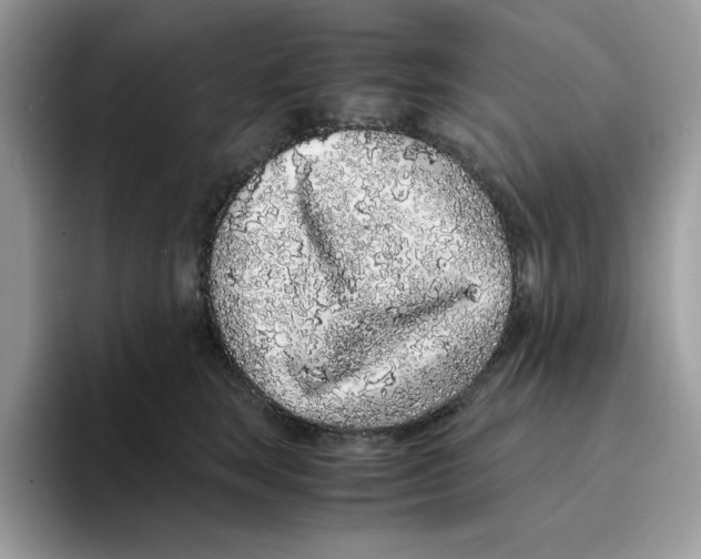 X0000093430663200711091436